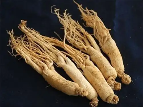 1,泡茶:将人参切成薄片,放入杯中冲入开水,盖上杯盖,焖泡5分钟左右,代