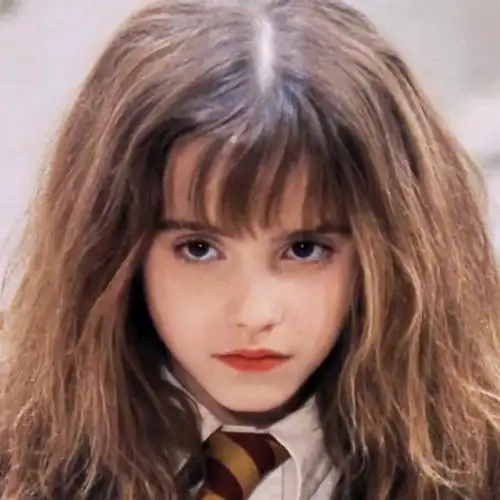 自修哈利波特赫敏头像