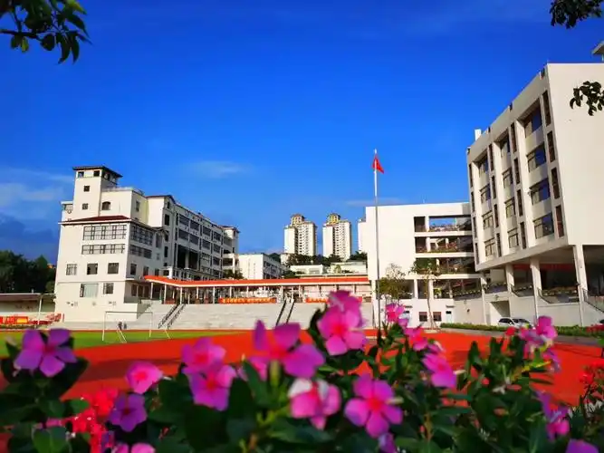 龙岗区外国语学校(集团)西片区急聘中小学各科教师,干事及后勤人员 _