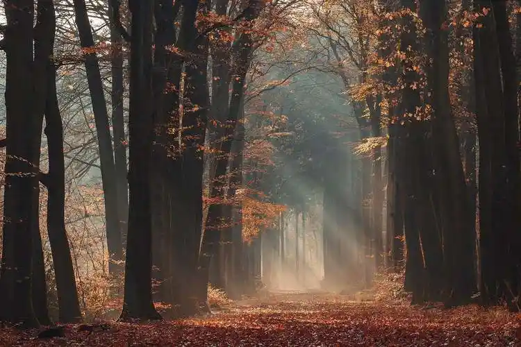 《巨友聊》第十六期:逐梦少年的纯美风景.
