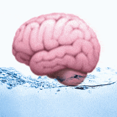 emoji脑子动态表情包