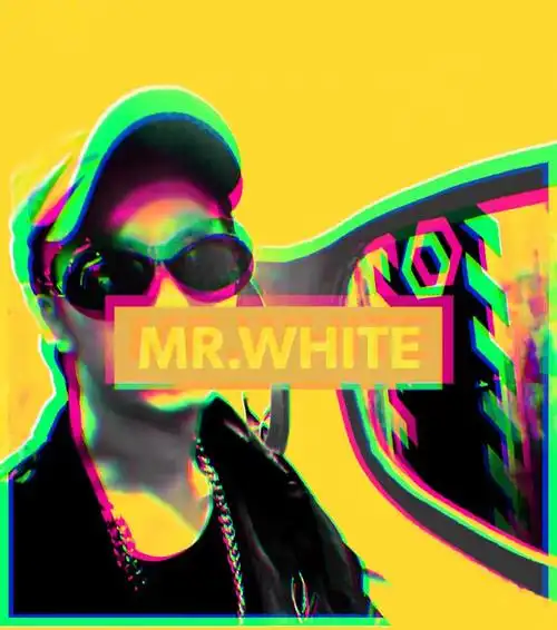 mr.white伴奏