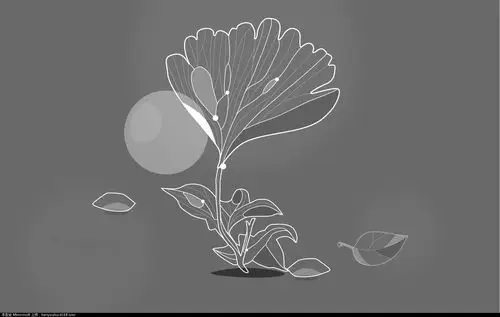 分享几张适合windows8锁屏的精美壁纸