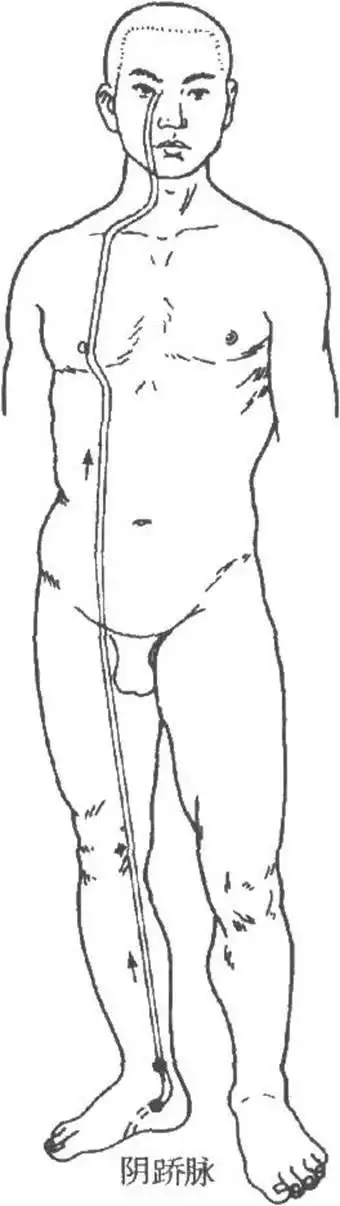 阴蹻脉