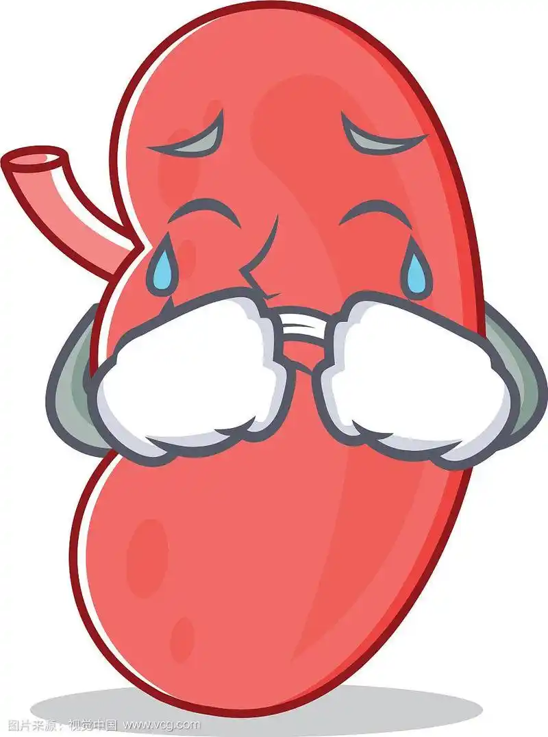 卡通造型的哭肾吉祥物