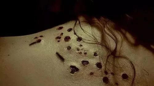 美恐川普当选总统是美国最恐怖的故事