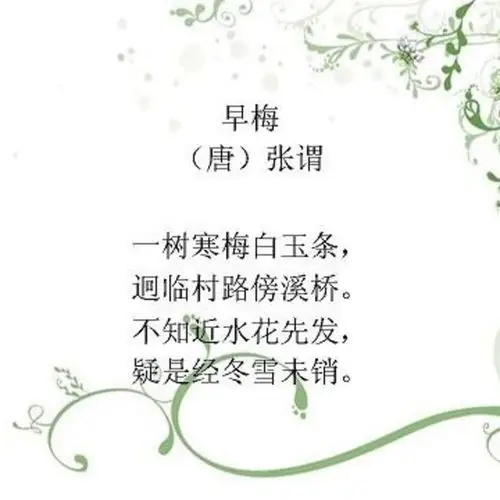 早梅--张谓(唐诗300首)
