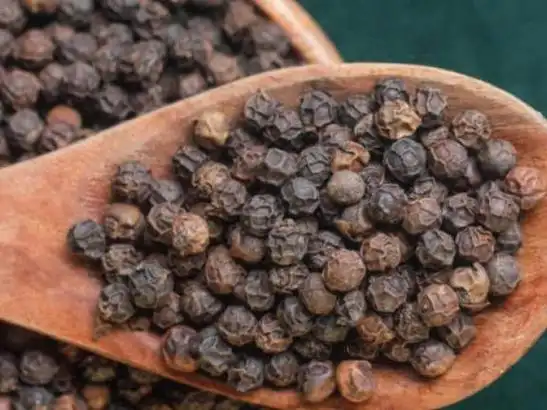 网易首页>网易号>正文申请入驻> 其实不用,你可以试试看吃——黑胡椒!