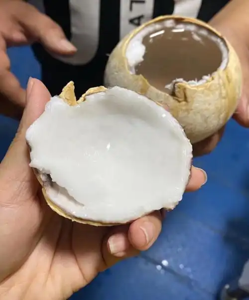 椰皇小椰皇新鲜去皮椰子孕妇水果2个装大果甘甜可口