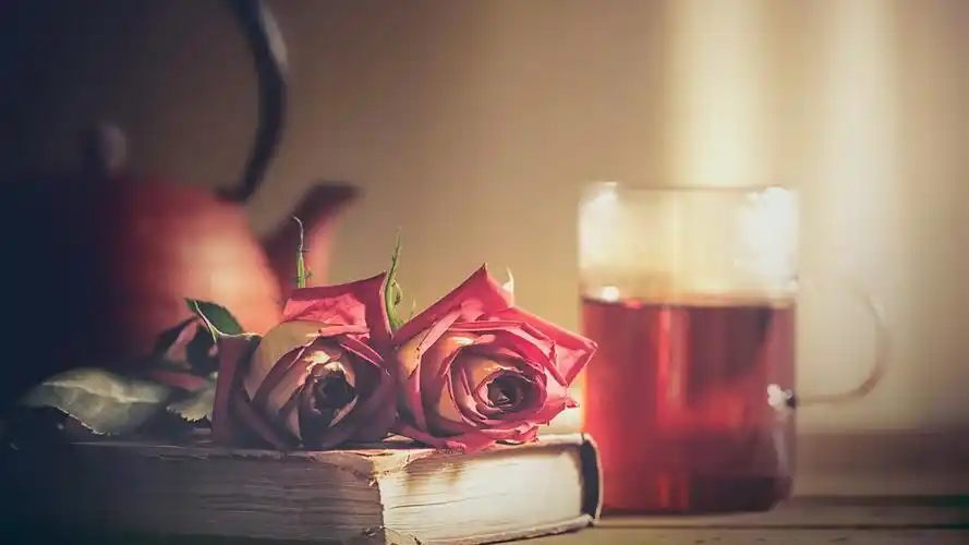 清新的静物写真摄影高清宽屏壁纸