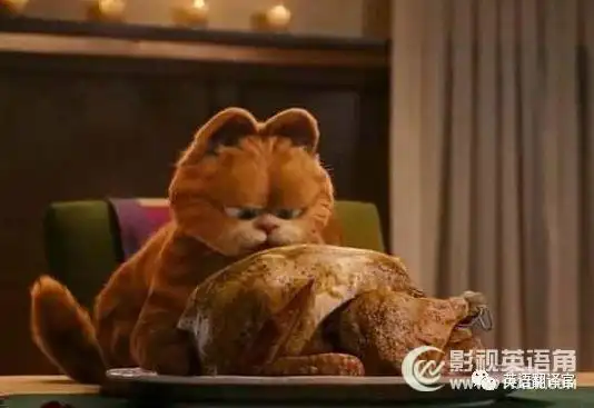 电影加菲猫经典台词中英文对照