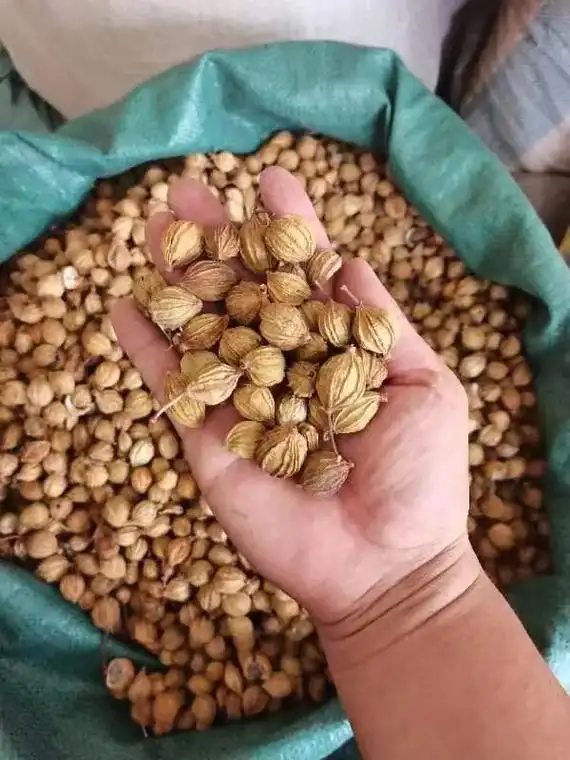 为老板压货11.2元一公斤的香砂如今翻一翻还有多,(良江香料 - 抖音