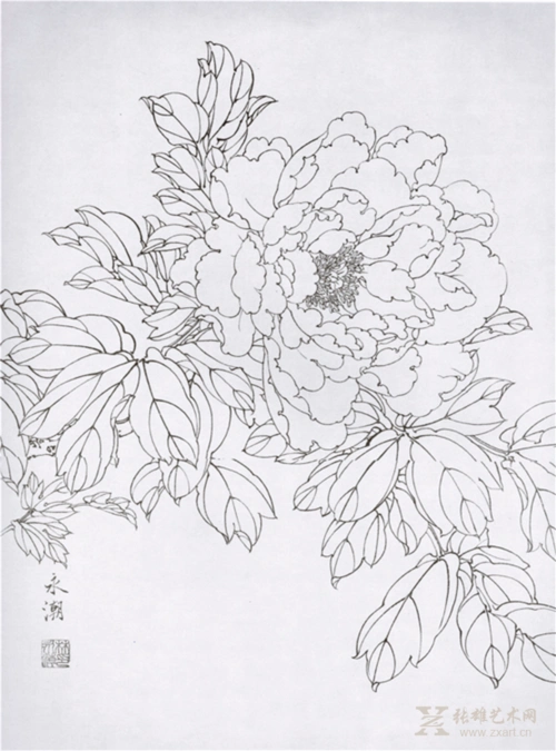 白描系列之牡丹2