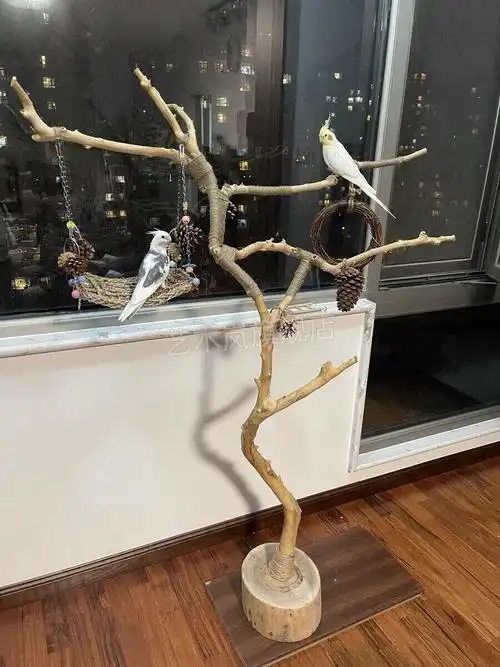 天然龙骨杈鸟架 干树枝鸟架灯架天然龙骨杈枯枝室内花艺小鸟用品北欧