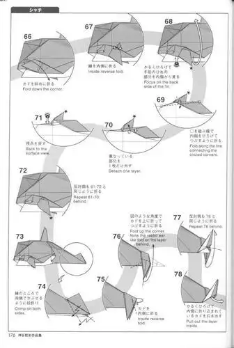 神谷哲史折纸海洋动物之虎鲸折纸图解教程