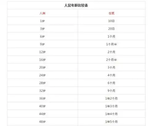 仓鼠年龄对照表怎么判断仓鼠年龄