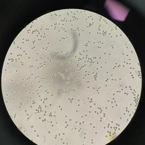 检验师图片分享
