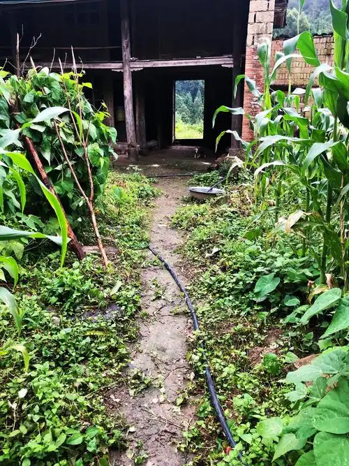 很喜欢山里这些荒废的房子_高清图集_新浪网