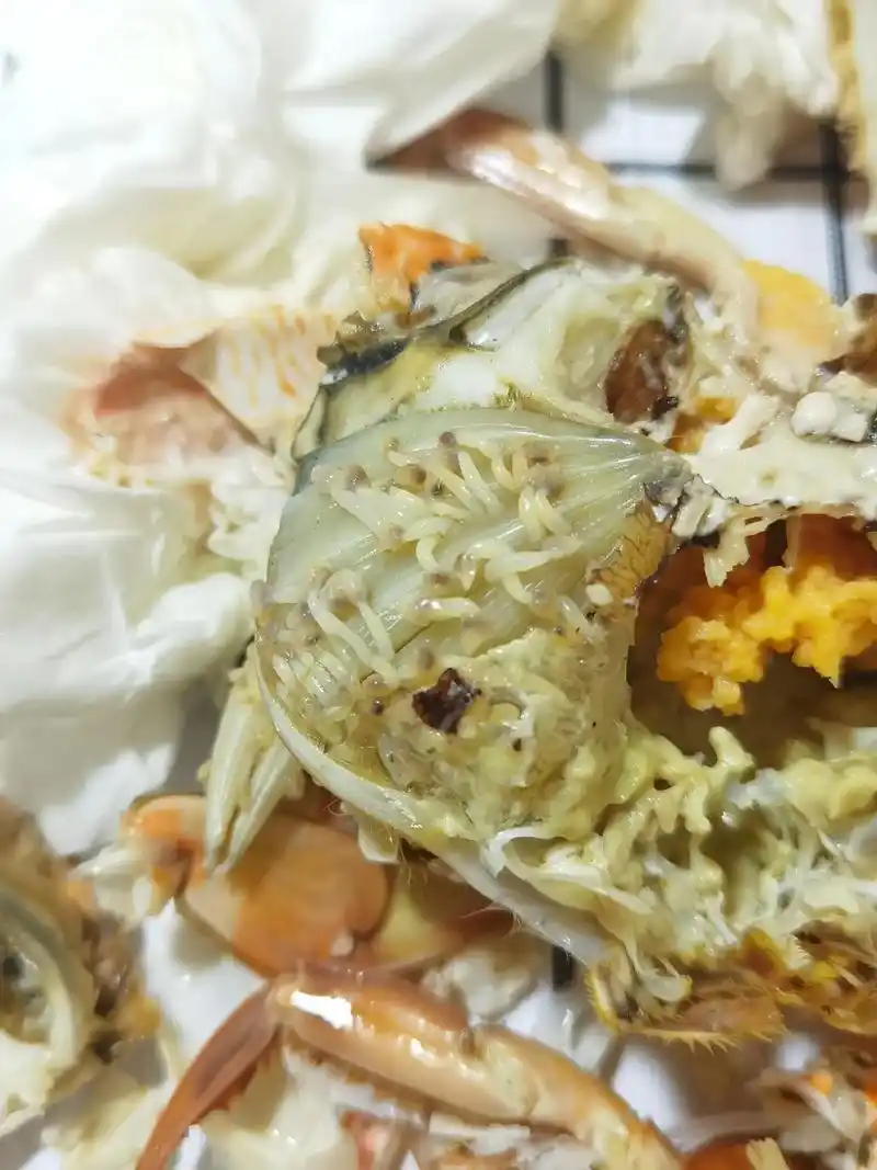 呕…问了海边人,说从来没有见过蟹腮长这玩意,是不是寄生虫,好 - 抖音