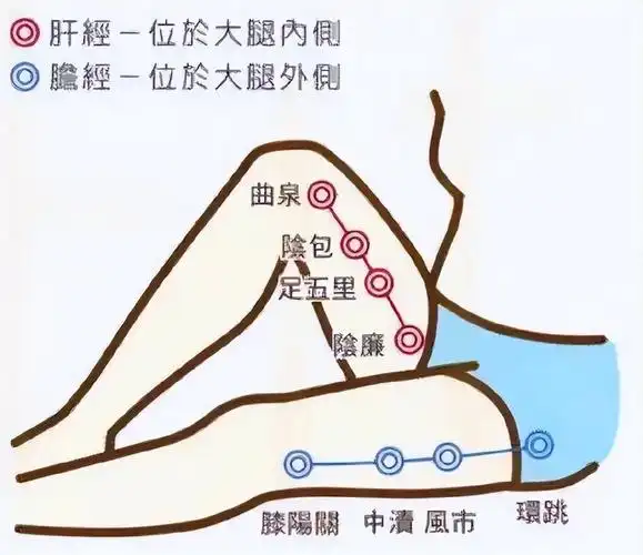自古就有肝胆相照的说法,在拍打肝经的同时也要顺带上胆经,这两条经也