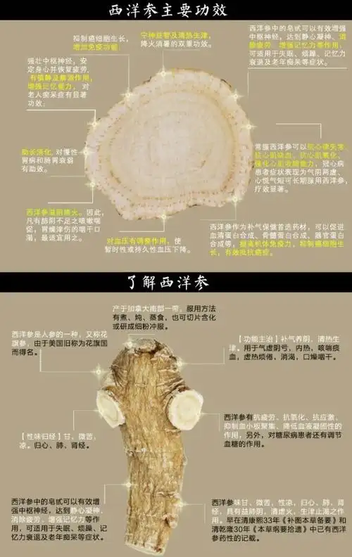 新鲜人参的功效与作用及食用方法鲜人参怎么吃效果最好功效