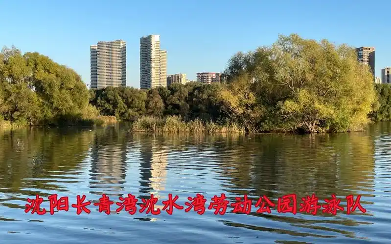 沈阳长青湾沈水湾劳动公园游泳队_哔哩哔哩_bilibili