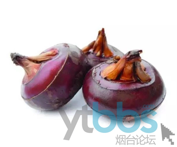 烟台山下海边的荸荠