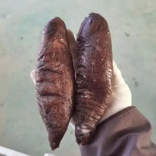 新鲜即食大乌参400g 速冻茄子参 单只海参丝块段酒店海参