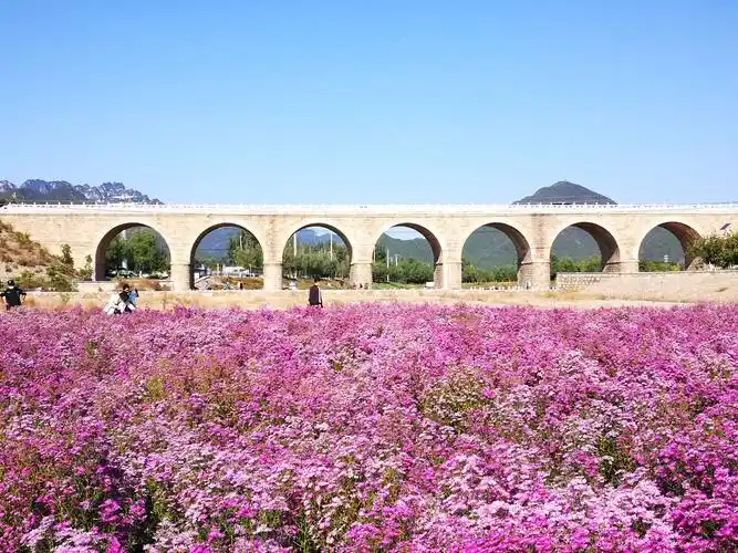 昌平七孔桥花海