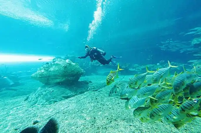 2020年遇见南方以南---三亚5天4晚度假,轻奢,浪漫,深度游