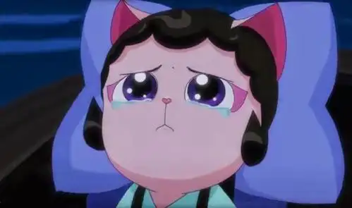 京剧猫:白糖成长了,但那是令人心疼的经历换来的