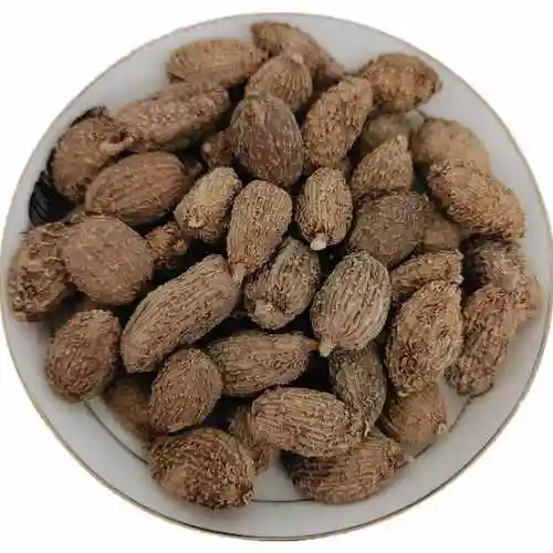 砂仁500g阳春春砂仁香广砂仁春中草药香料卤肉砂仁