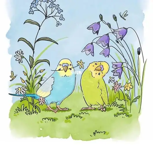 有问题可以在群里问我,看到了会解答,虎皮鹦鹉00群#养鹦鹉日记