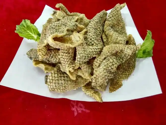 休闲食品新贵族——爆脆鱼皮