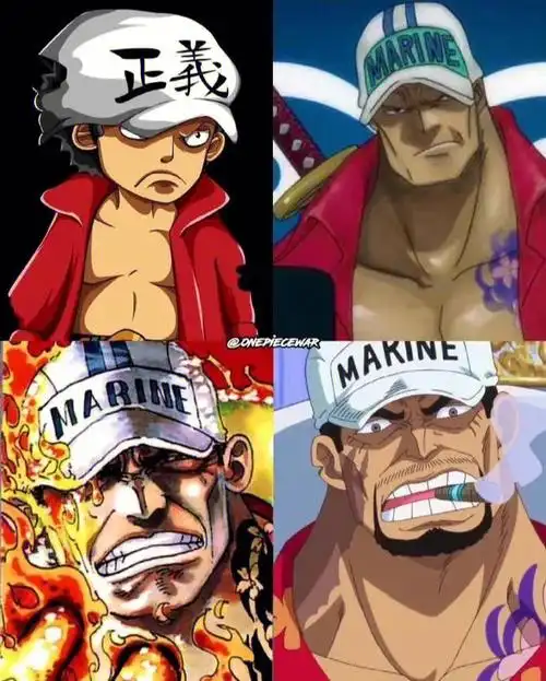 海贼王海军三大将成长史67676767