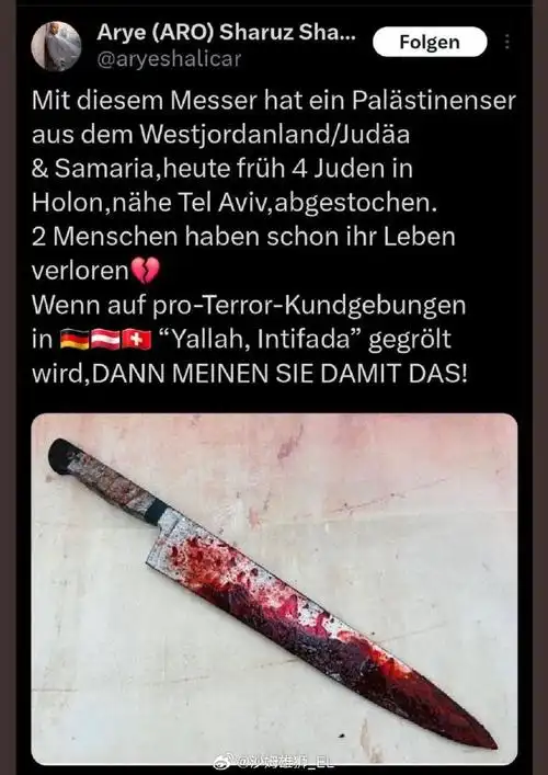 以色列国防军前官方发言人发布了一张带血的刀具照片,声称这把刀是