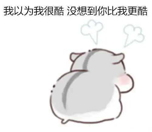 幽默搞笑卡通动物表情包图片我只喜欢和你聊天