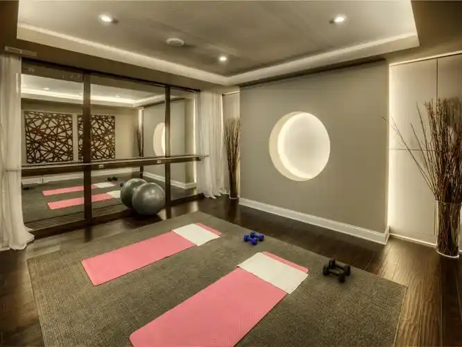 2019国外私家别墅家庭瑜伽房背景墙设计图片