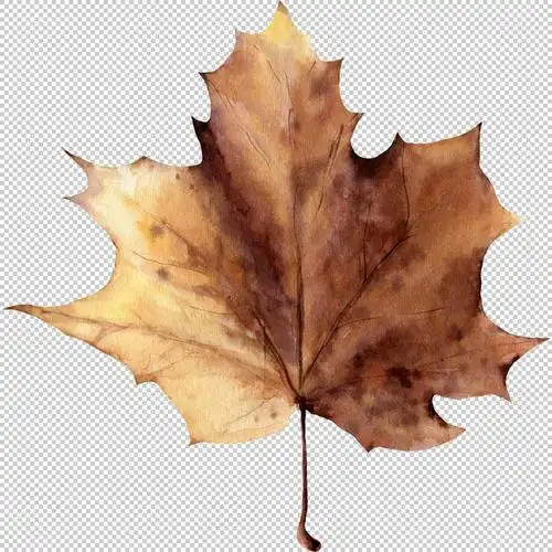 黄树叶免抠素材下载(图片id:1495861)_-装饰元素-免抠素材_ 淘图网