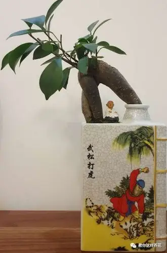 家里的酒瓶别扔5分钟做个花盆比买的还好看