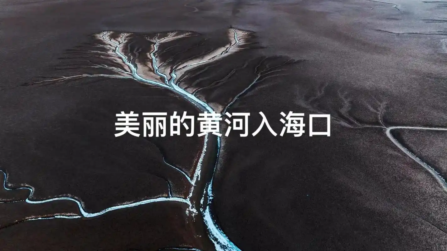 美丽的黄河入海口湿地.#摄影师日常 - 抖音