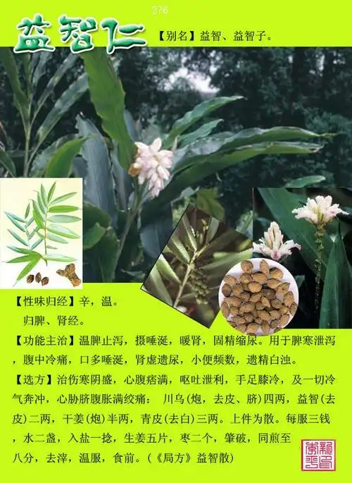 闲情雅趣.的美篇