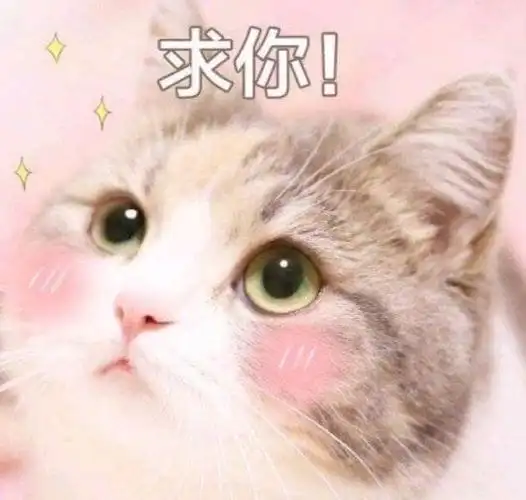 萌宠喵星人求你请求呆萌可爱gif动图_动态图_表情包下载_soogif