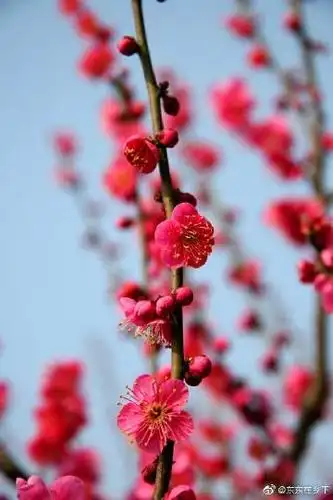 360_540竖版 竖屏