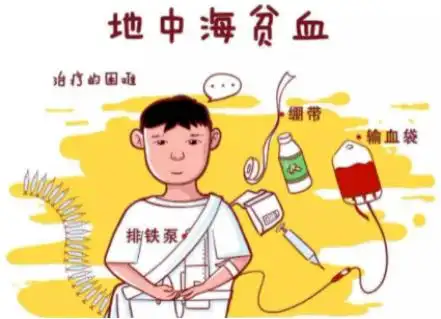 两广地区1/6"中彩率"的地中海贫血,您了解吗?_基因