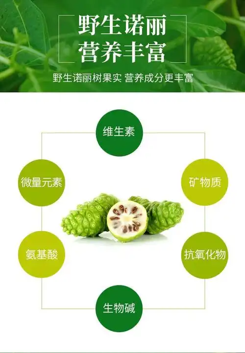 进口诺丽果汁酵素 500ml/瓶斐济原装原浆饮品无诺丽果原液 诺丽原浆