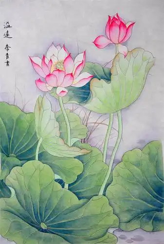 儿童画荷花荷叶绘画-溢香的荷花