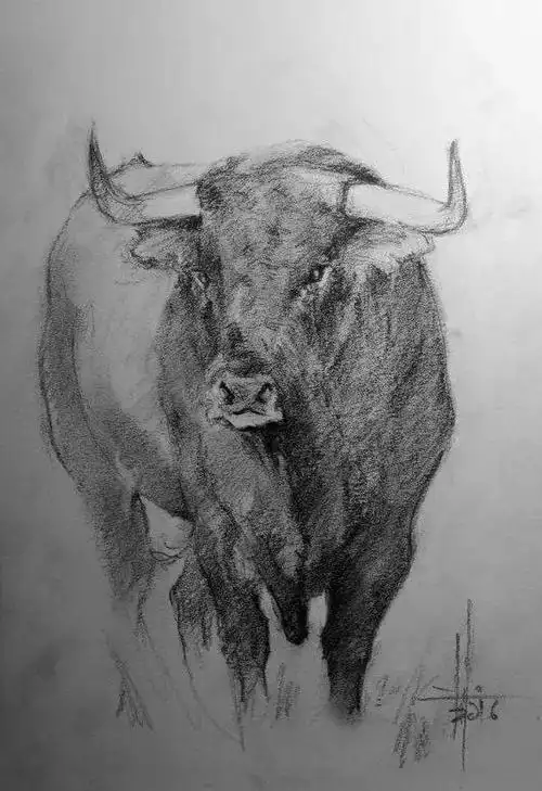 狮子素描 ·/· 犀牛素描 ·/· 羊的素描 ·/吐血整理的动物临摹