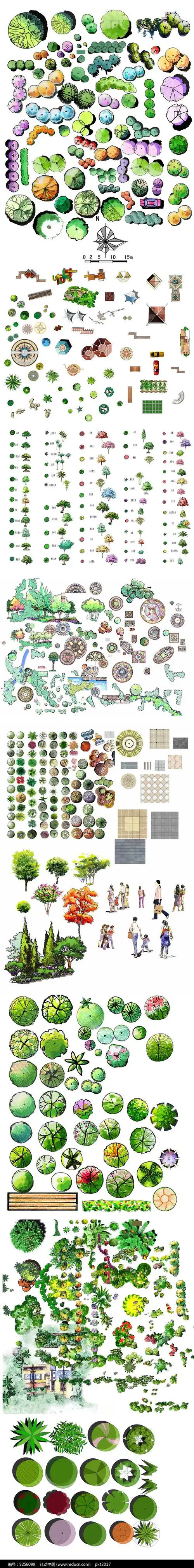 植物手绘平面图