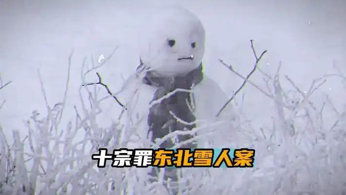 十宗罪之东北雪人案